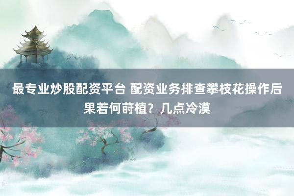 最专业炒股配资平台 配资业务排查攀枝花操作后果若何莳植？几点冷漠