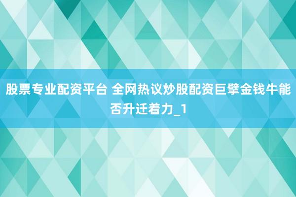 股票专业配资平台 全网热议炒股配资巨擘金钱牛能否升迁着力_1