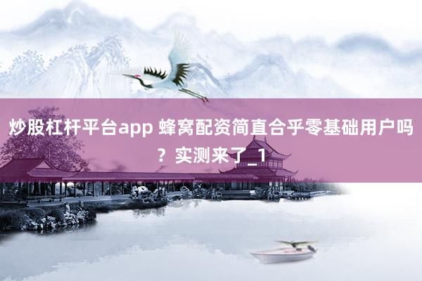 炒股杠杆平台app 蜂窝配资简直合乎零基础用户吗？实测来了_1