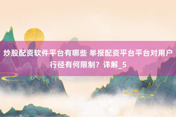 炒股配资软件平台有哪些 举报配资平台平台对用户行径有何限制？详解_5