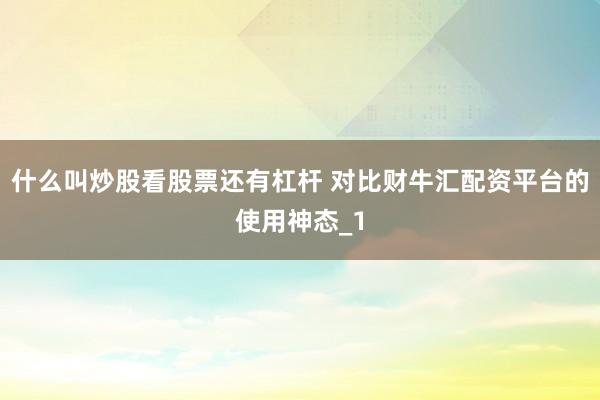 什么叫炒股看股票还有杠杆 对比财牛汇配资平台的使用神态_1