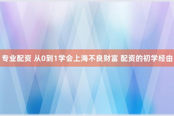 专业配资 从0到1学会上海不良财富 配资的初学经由