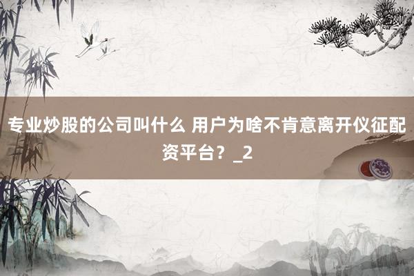 专业炒股的公司叫什么 用户为啥不肯意离开仪征配资平台？_2